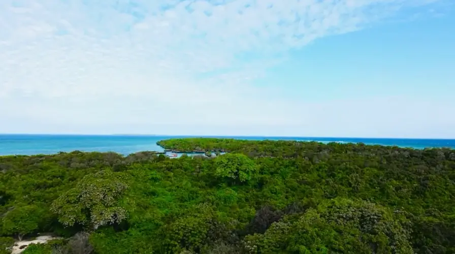 
                                        Safari Blue Trip Zanzibar – Full-Day Dhow Adventure from Stone Town