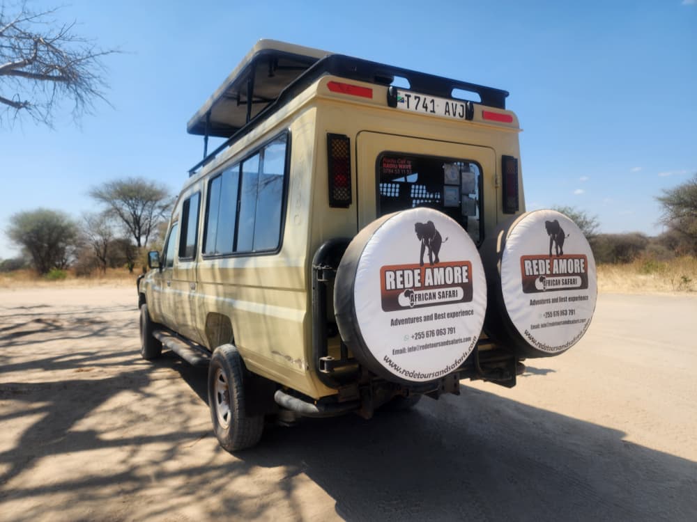 Wild Safari Experience Tanzania Safari vehicle driving through Tanzania savannah with wildlife