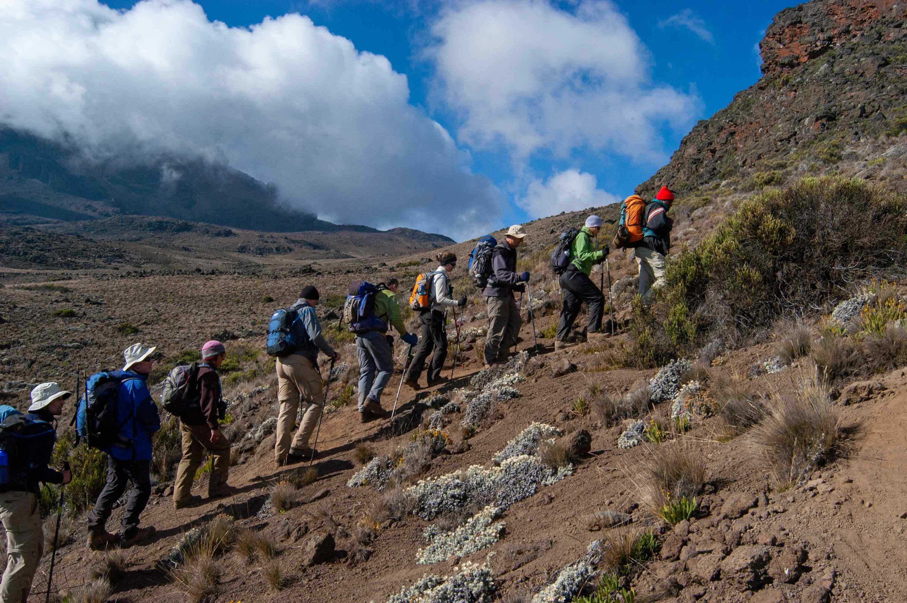 7 Days Lemosho Route Kilimanjaro Hiking Tour