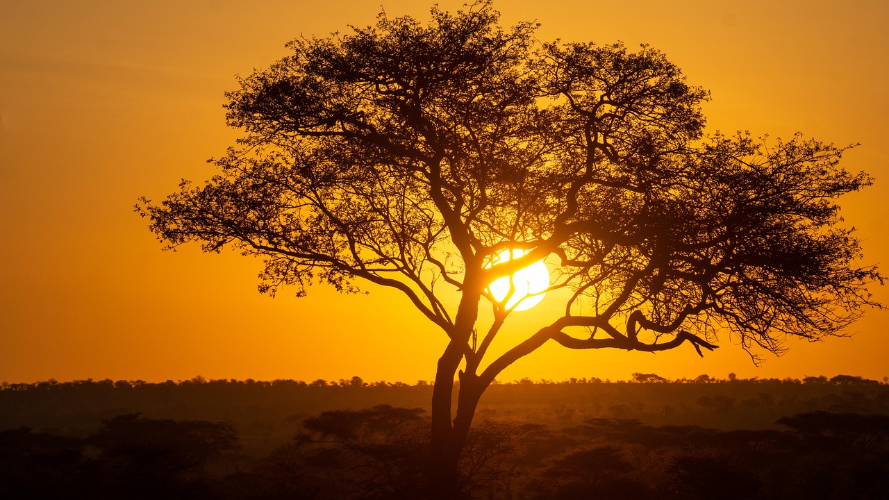 7 Days Ultimate Luxury Serengeti Safari