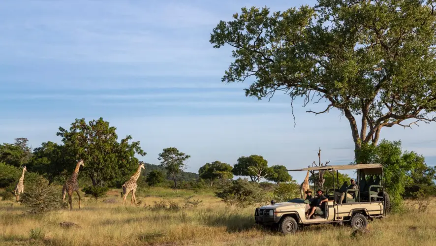 Rufiji River Safari in Nyerere