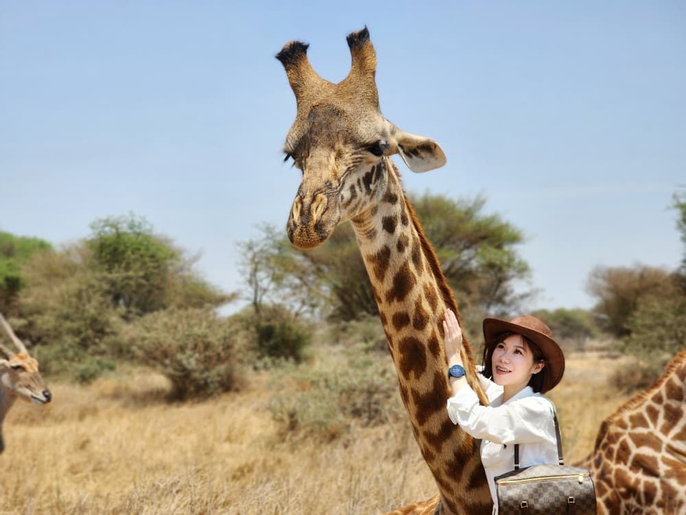 Moshi Kilimanjaro Transfer Services