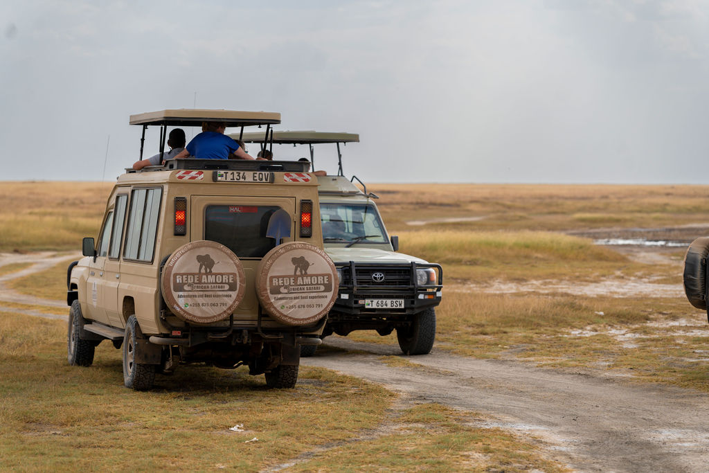 Classic safari in Tanzania with rede tours and safaris