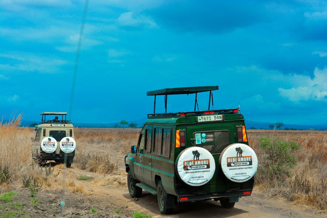 Game Drives