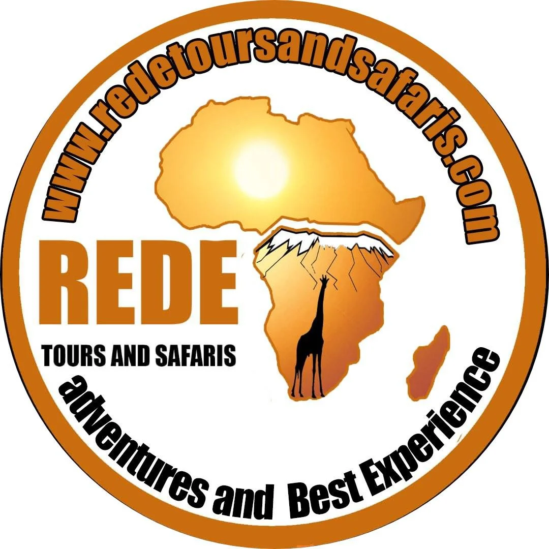 Rede Tours and Safari logo